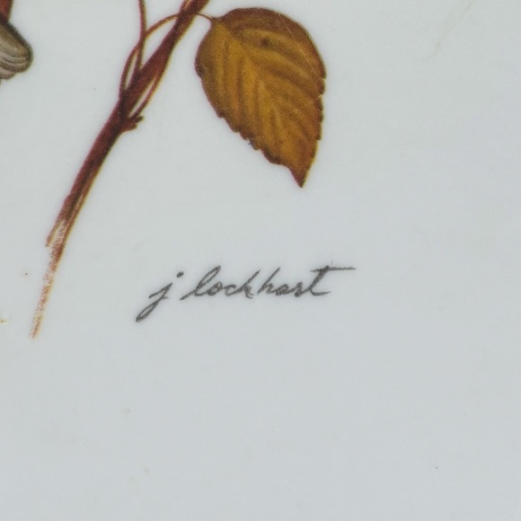 Vintage R2S Monza Melamine 20” Serving Tray with Chickadee Artwork by J Lockhart - Picture 3 of 7